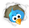 twitter