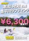豊平川、桜が咲きました。