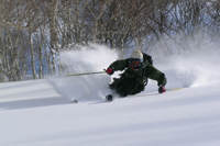 Niseko Skiing Lessons NOASC Mountain Explorer