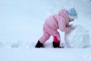 Kids Snow Adventure Tours