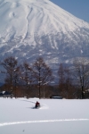 Niseko Snowmobiling