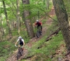 Niseko Mountain Biking