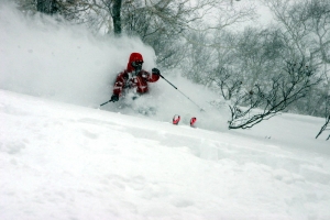 NOASC Niseko Backcountry Ski Lessons