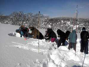 NOASC Backcountry Avalanche Awareness Course