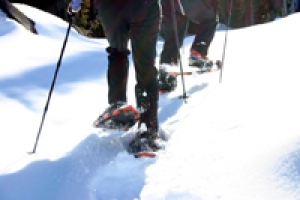 Niseko Snowshoe Touring