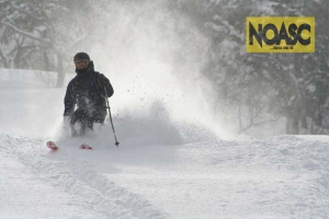 NOASC Niseko First Step Private Backcountry Tour