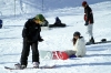 NOASC Niseko Snowboard Lessons