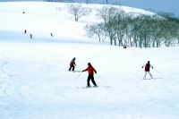 NOASC Niseko Ski Lessons