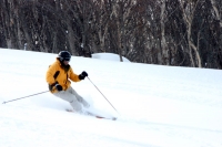 NOASC Niseko 5 Half Day Ski  or Snowboard LessonPackage