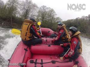 Enjoying Niseko Course the Waves and the Action