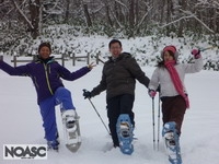 NOASC Niseko Private Snowshoeing Tour
