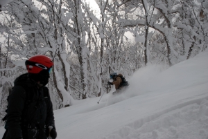 Skiing trees at Mt Chizenupuri, Niseko