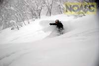 NOASC Niseko lift access backcountry tours